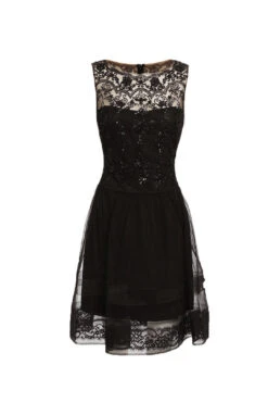 Black Lace Fit And Flare Mini Dress