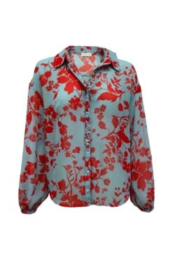 Collared Sheer Shirt